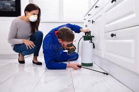 Best Pest Control for Multi-Family Homes  in Little Falls, MN